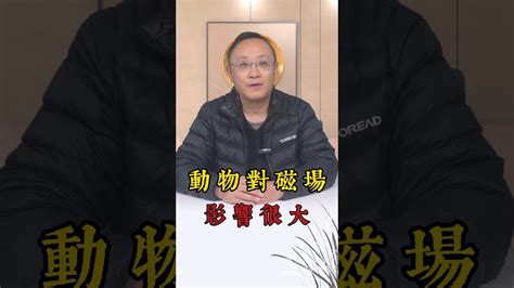 磁場的意思